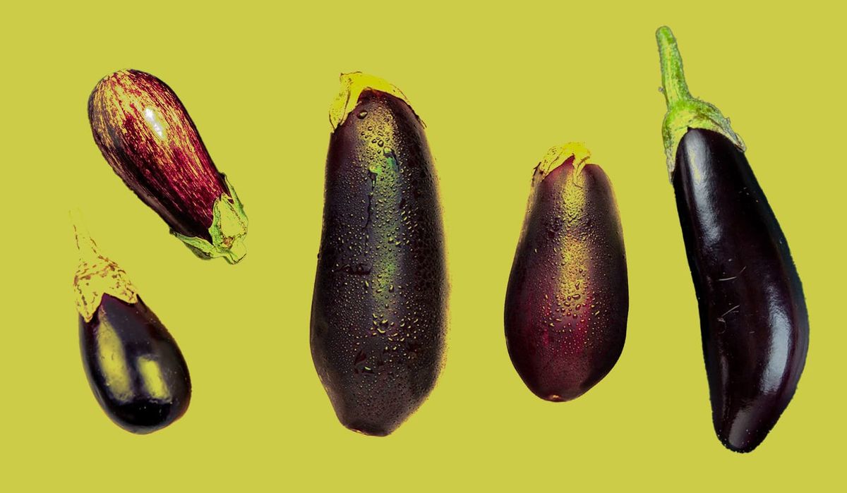 The era of male enhancement has reached the penis