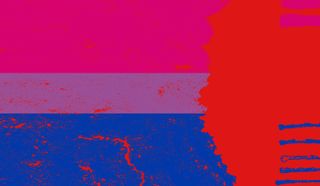 How the current bi discourse is playing into the hands of the far right