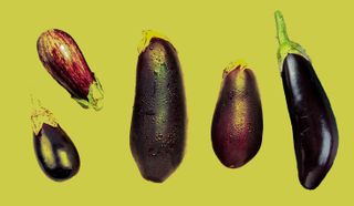 The era of male enhancement has reached the penis