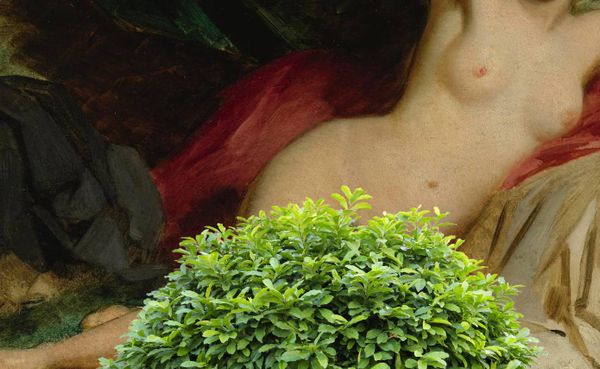 Full bush in a bikini was the chorus of the summer – now what?