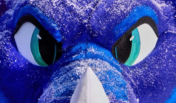 Inside Midwest Furfest, the sacred playground of the furry fandom