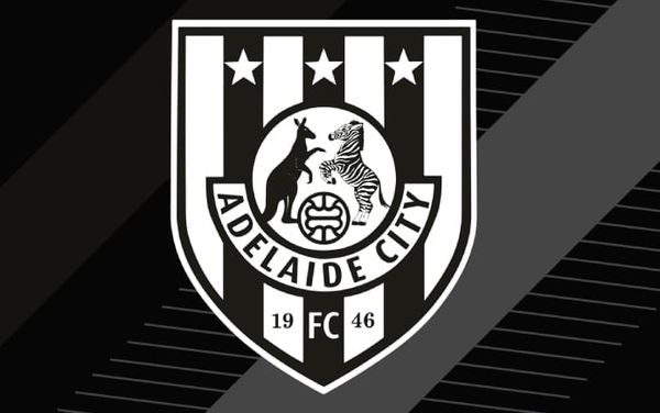 Australian football club condemns fans for “unacceptable” homophobic behaviour