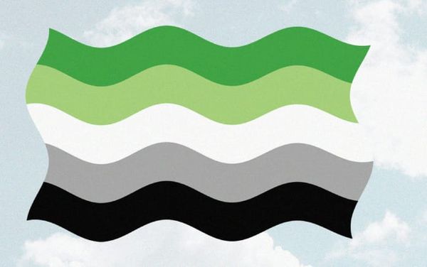 Aromantic Awareness Week: “I didn’t know I could be aromantic but not asexual”