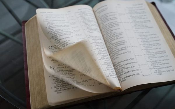 Bible may have originally permitted gay sex, according to leading scholar