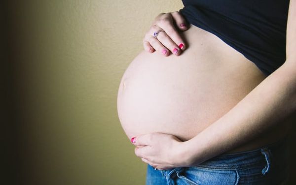 Health advice for pregnant trans and non-binary people ‘blocked’ by NHS bosses