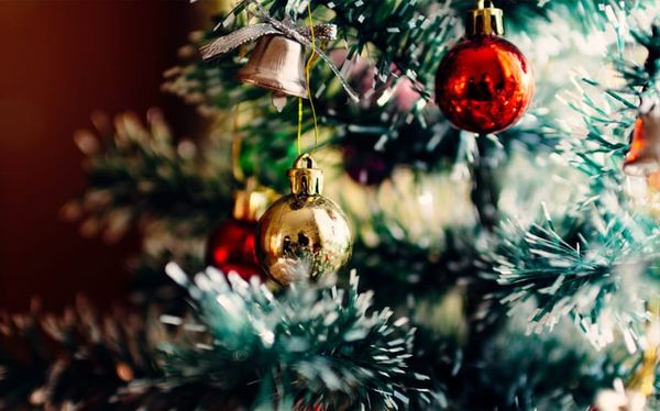 Going home to family at Christmas: How to survive subtle homophobia