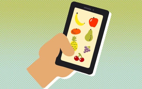 Doom scrolling, internet battles and veganism – why I decided to take a different approach to climate activism