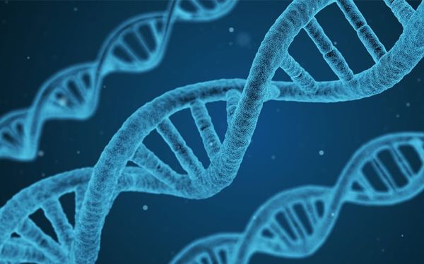 Scientists may have identified two ‘gay genes’ in men for the first time ever