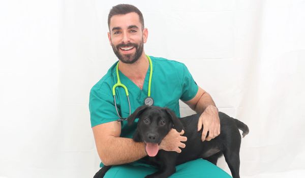 Why dogs make us feel whole – A Gay Vet’s Perspective