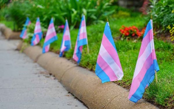 US appeals court backs Florida high school’s anti-trans bathroom policy