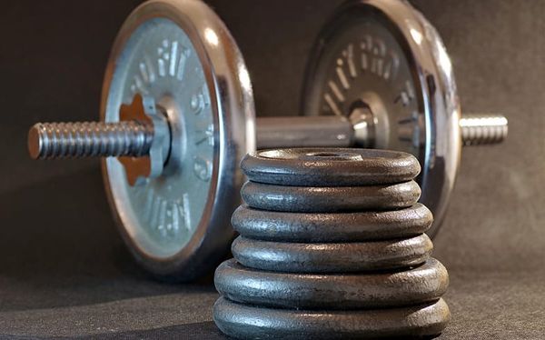 LGBTQ-inclusive gym forced to close after harassment from far-right group