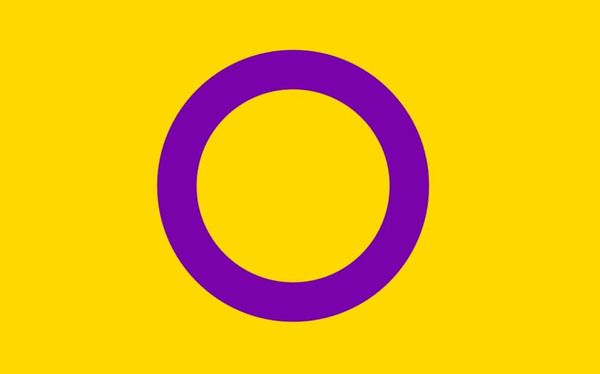 Germany now legally recognises intersex people as change in law comes into effect