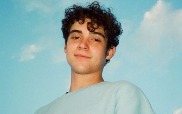 High School Musical star Joshua Bassett thinks Harry Styles is “hot”