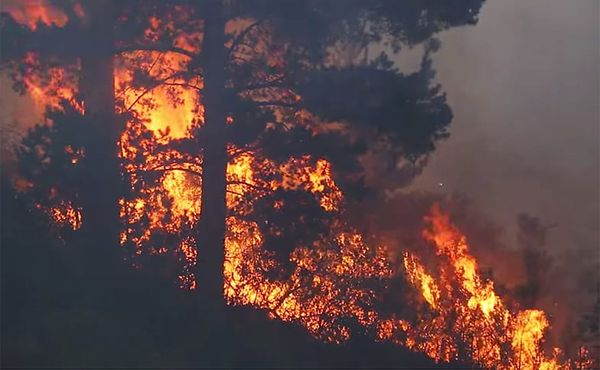 American pastor blames Californian wildfires on advancement of LGBTQ rights