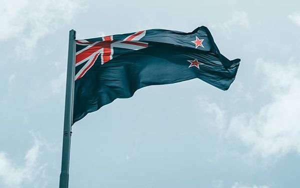 New Zealand’s parliament bans ‘conversion therapy’ in near-unanimous vote