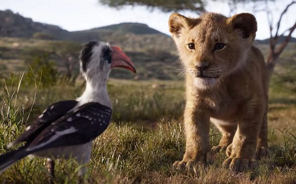 The first trailer for The Lion King remake is here and it looks EPIC