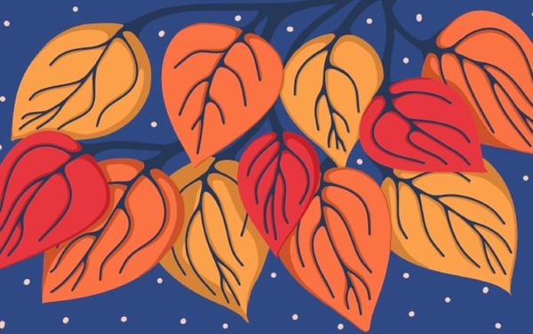 On Earth We’re Briefly Gorgeous inspired me to believe that I deserve a safer and better world