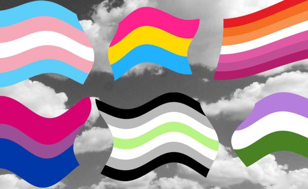 What do all the different Pride flags stand for?