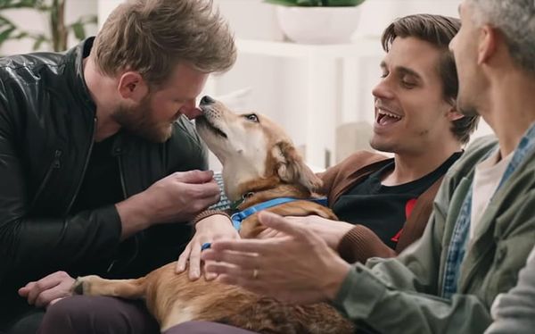 Watch the Fab Five give a rescue dog a makeover in adorable Queer Eye special