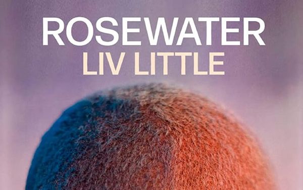 gal-dem founder Liv Little releases “gritty and strikingly bold” debut novel