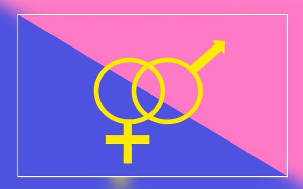 Application for ‘Straight Pride’ parade in August approved by Boston city