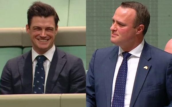 Australian MP who proposed to his boyfriend in Parliament has now married him