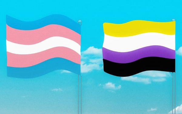 US invests almost $700,000 into sex education for trans male youth