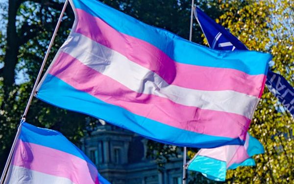 Leaked EHRC guidance suggests trans people could be banned from single-sex spaces based on appearance
