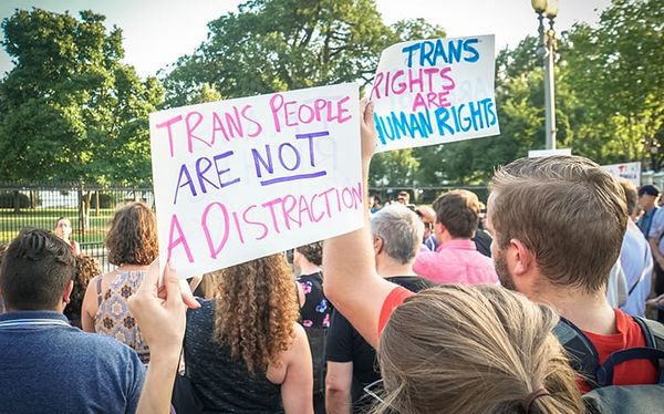 Most Americans support trans people serving in the military