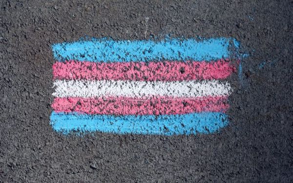 Transgender job quota law seen ‘changing lives’ in Argentina