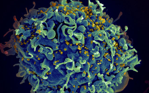 Patient becomes the fifth and oldest ever to be ‘cured’ of HIV