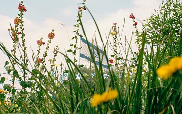 “Our safety is bound together”: Why Palestine’s freedom matters to me