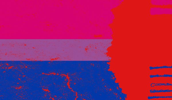 How the current bi discourse is playing into the hands of the far right