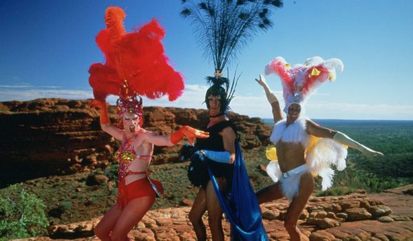 Guy Pearce gives promising update on Priscilla, Queen of the Desert sequel