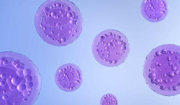 For lesbians and queer folks, IVF access is about more than fertility