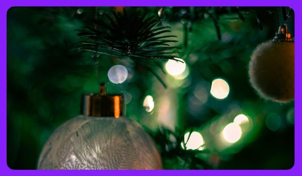 This Christmas, family rejection is a public health crisis for LGBTQIA+ youth