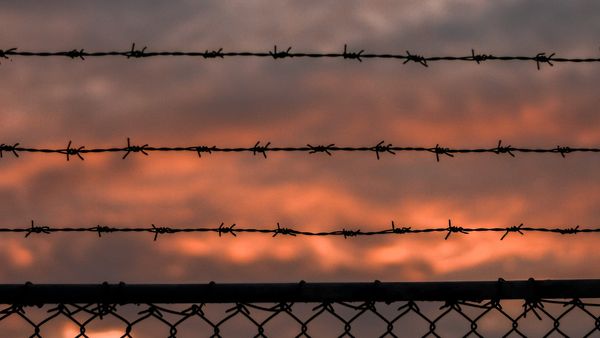 Barbed wire fence at sunset