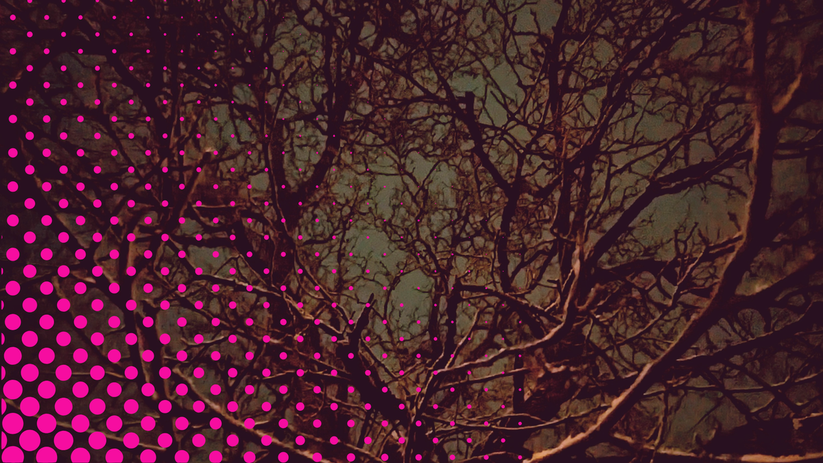 The tree had felt it