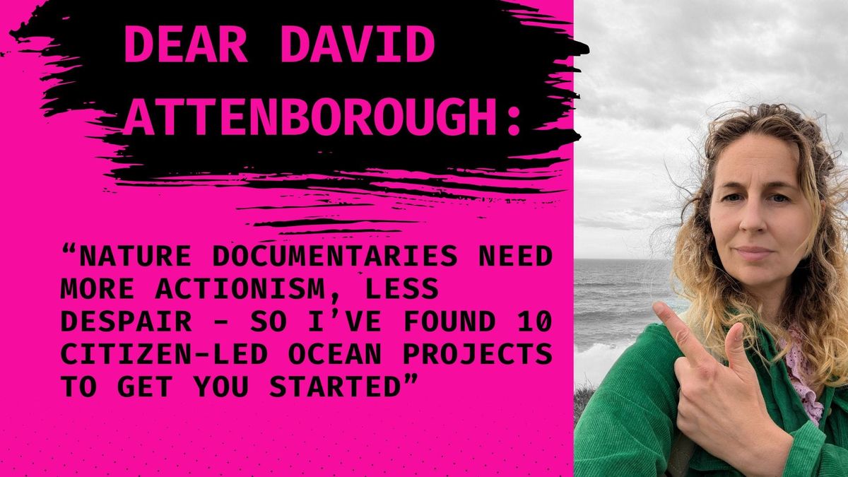 Why David Attenborough needs to lean into ACTionism in his documentary - OCEAN