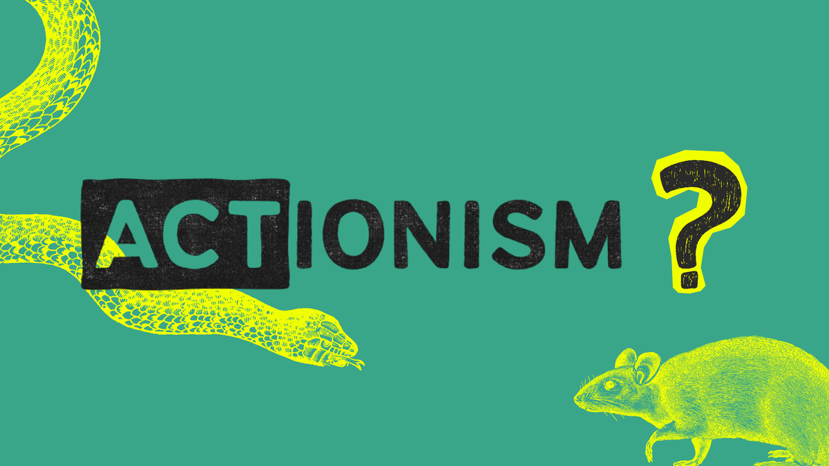 ACTionism?