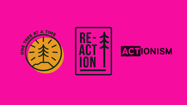 What I’m Proud Of (and Why That Matters)