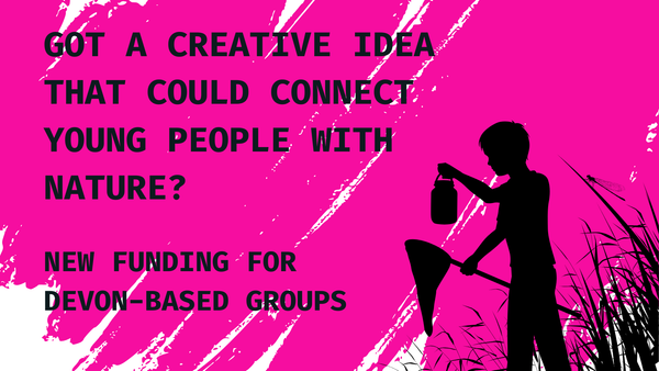 Funding opportunity: Devon-based creative nature projects