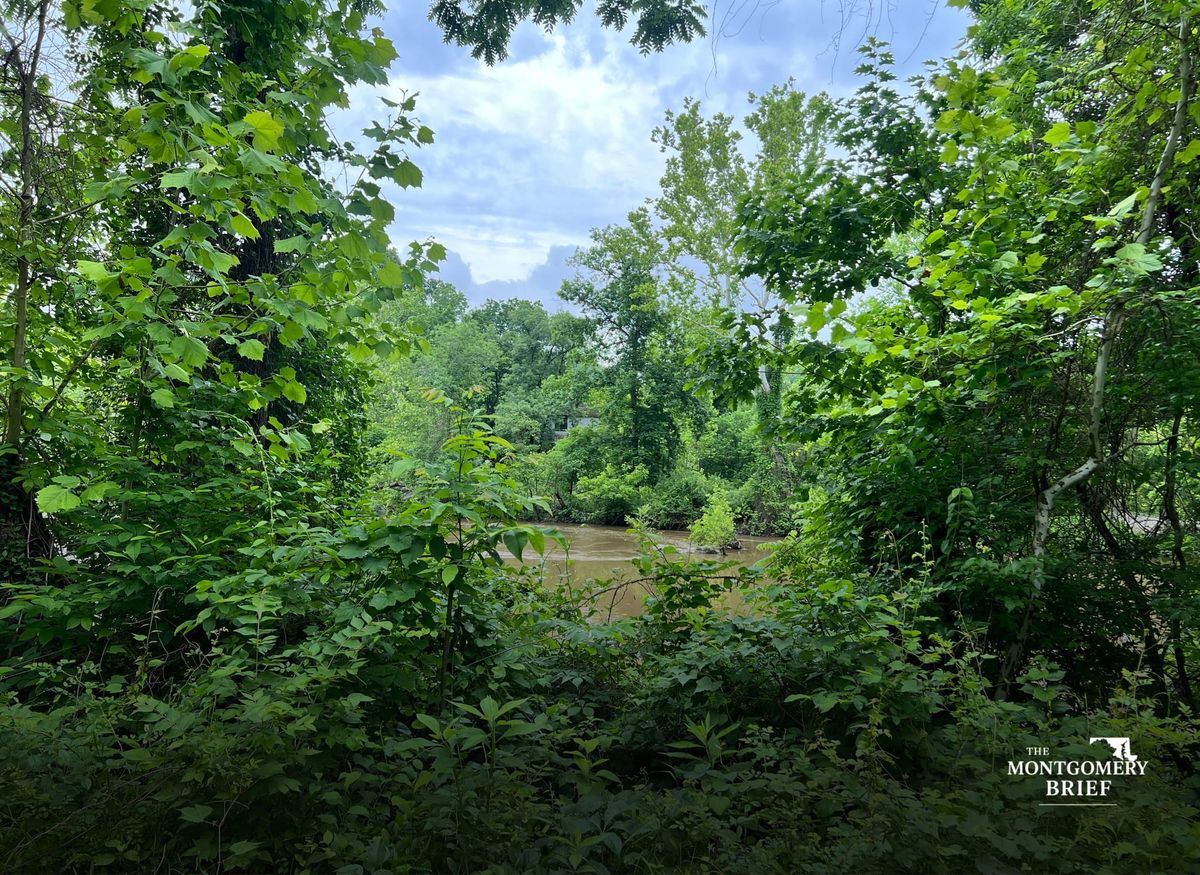 They ran for the river. Not to swim. To get away.