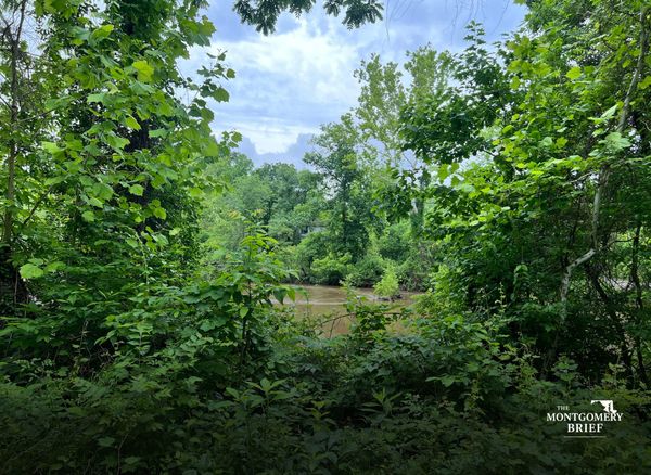 They ran for the river. Not to swim. To get away.