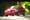Watch These SN95 Ford Mustang Commercials