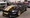 The History of the Hertz Shelby Mustangs at GAA This Weekend