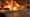 Wisconsin Rioters Loot And Burn Down Car Dealership