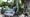 Vandals Bash Man’s Classic Car Collection