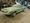 1968 Ford Mustang Shelby GT350 Barn Find Sells For Over $100K