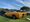 Amelia Island Muscle Car Class Debuts Sunday